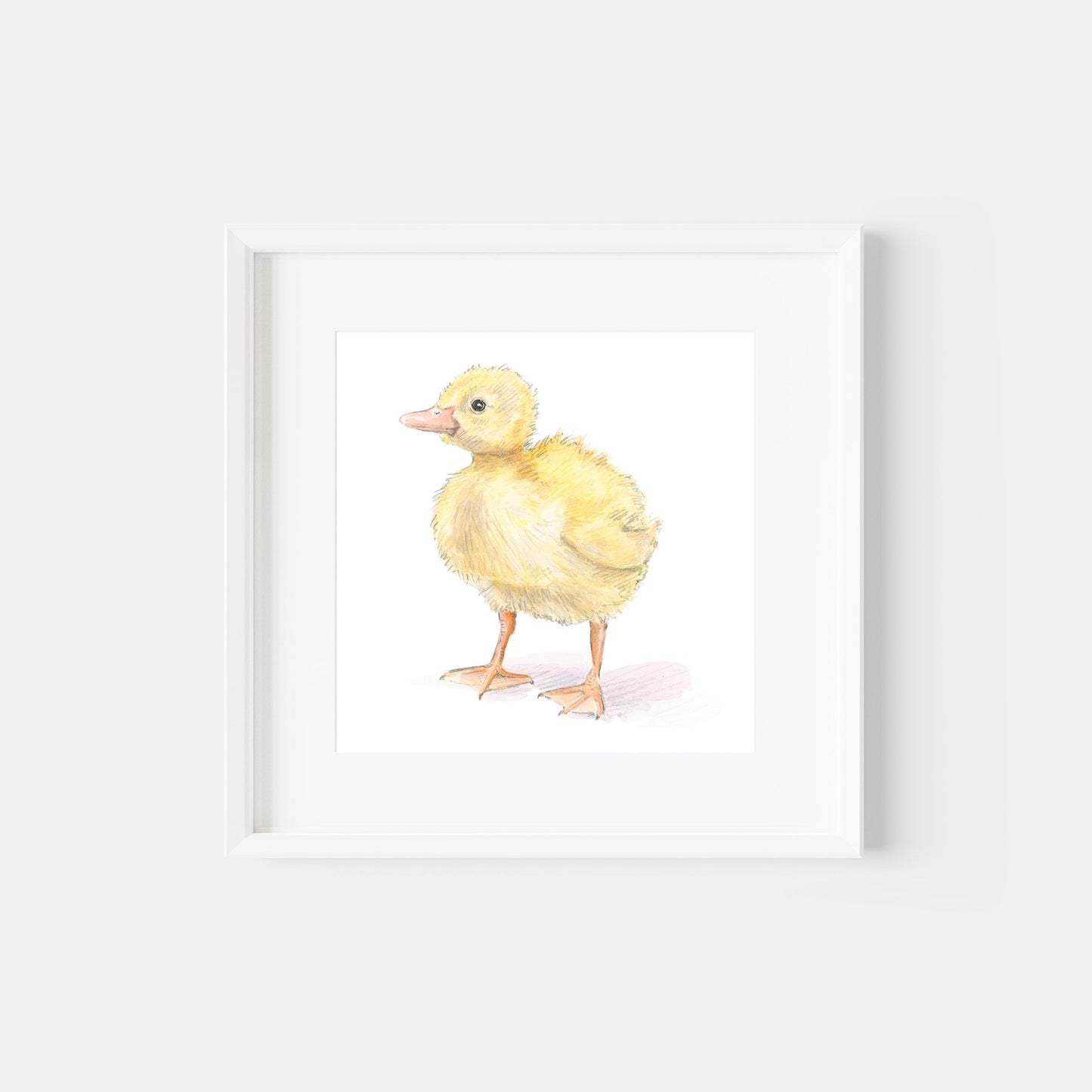 Duckling, Print