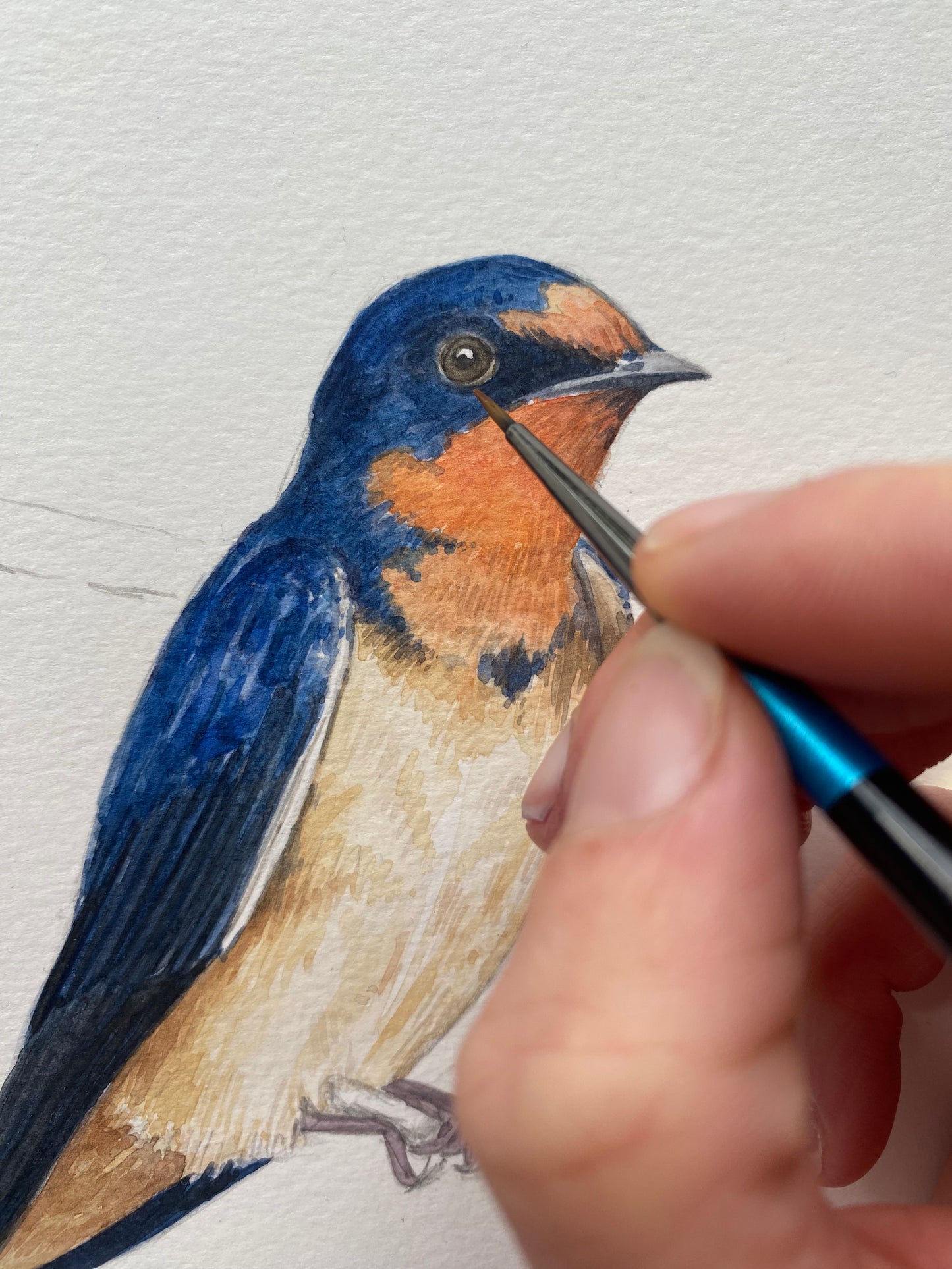 Original Artwork