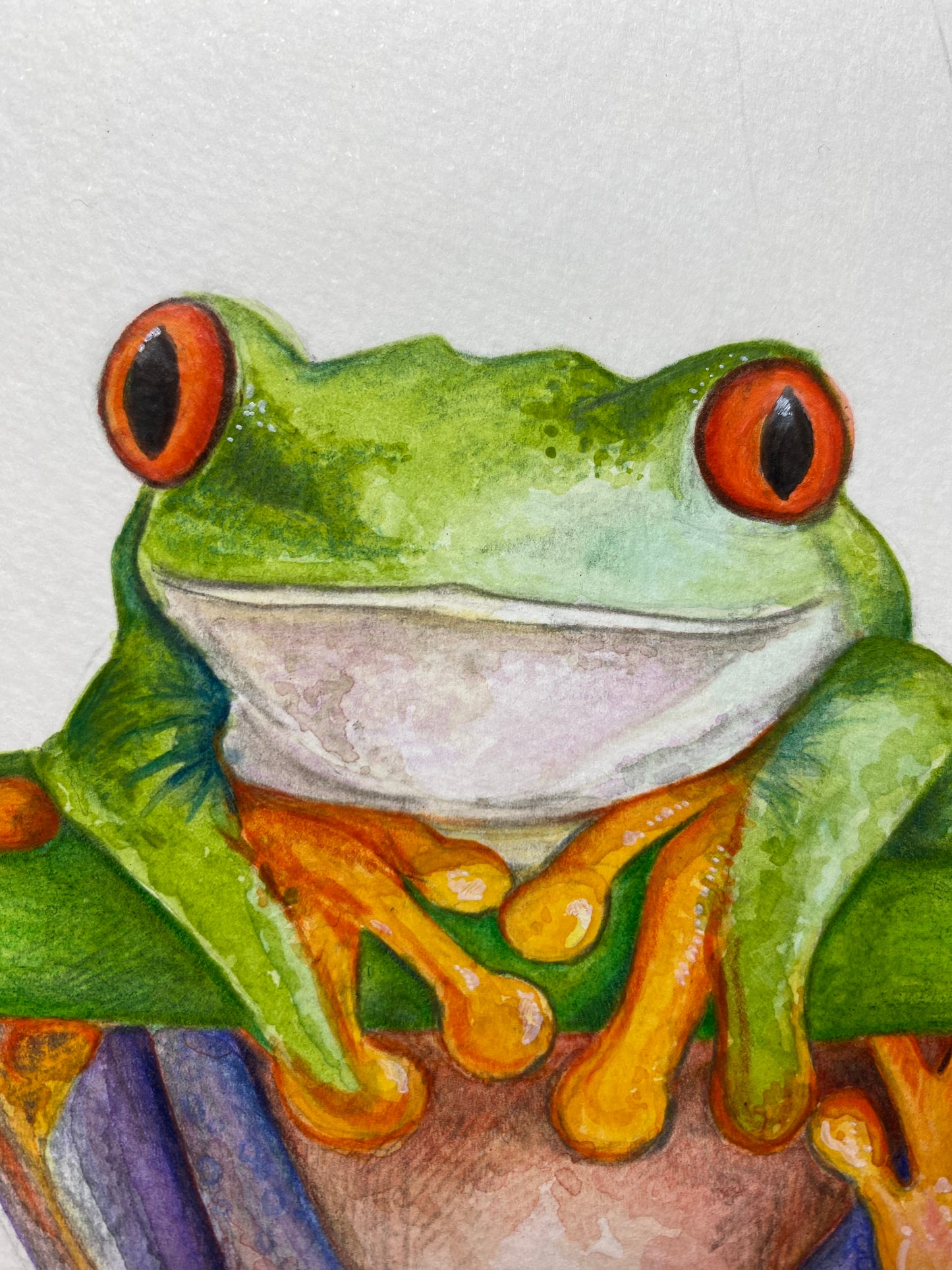 Tree Frog, original watercolour