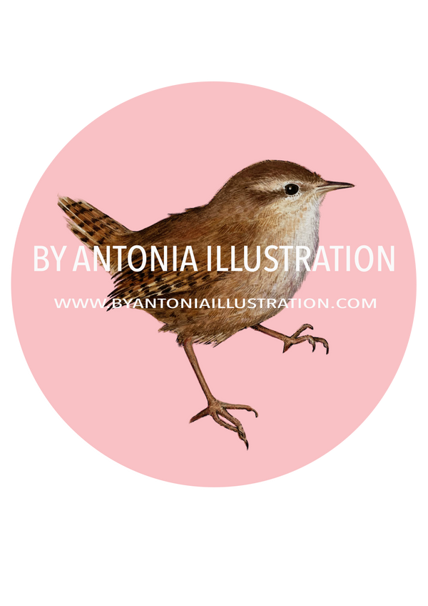 By Antonia Illustration Ltd