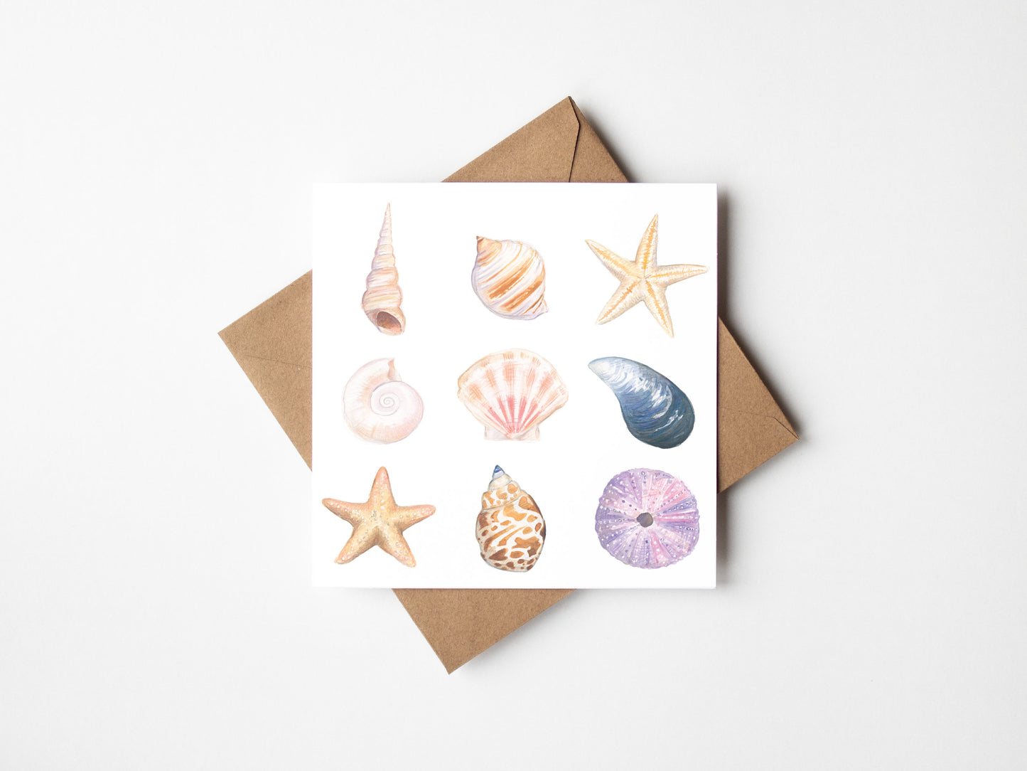 Seashells Greeting Card