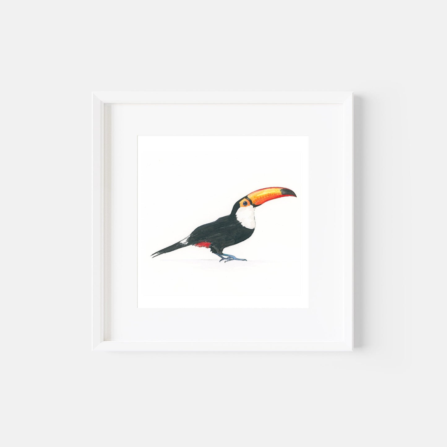 Toucan, Print