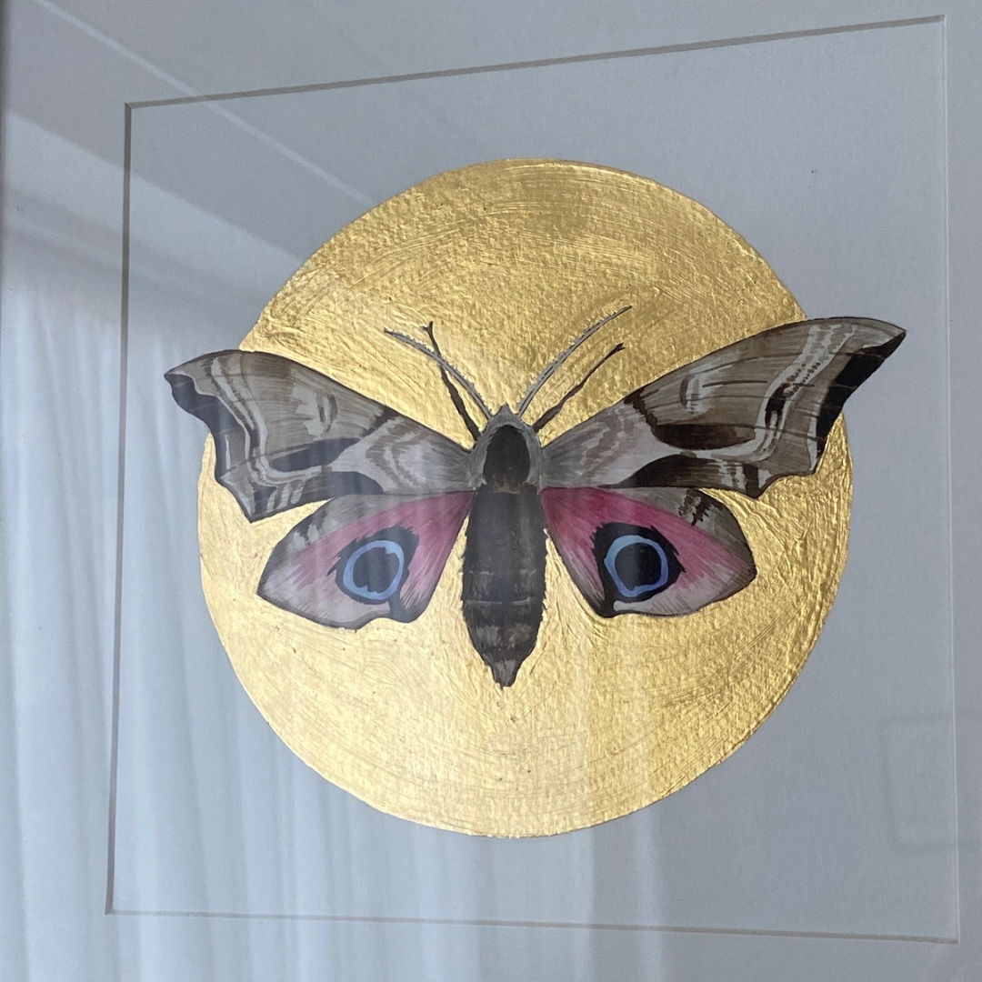 Eyed Hawk Moth, original painting